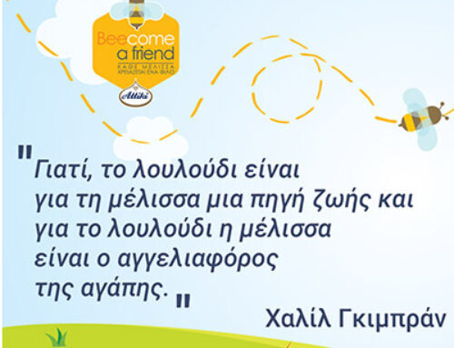Πρώτο μέλημα μας είναι οι μέλισσες!